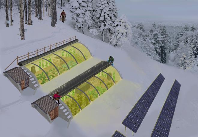 Passive Greenhouses in Early Spring